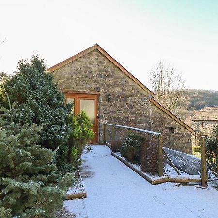 Y Felin Villa Llanybydder ภายนอก รูปภาพ